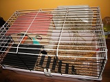 DSCF3072.JPG