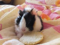 IMG012.JPG