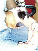 IMG00150.JPG