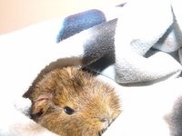 DSCF3683.jak-zmniejszyc-fotke_pl.jpeg