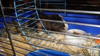 DSC02021.JPG
