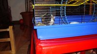 DSC02020.JPG