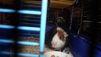 DSC02022.JPG