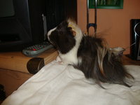 DSC02933.JPG