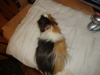 DSC02923.JPG