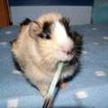 Image00009.jpg