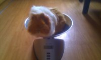 IMAG0201.jpg