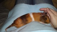 hh21032012361.JPG