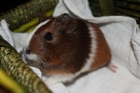 IMG_1782.JPG