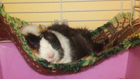 DSC00942.JPG
