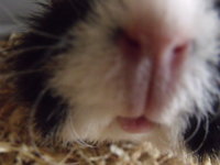 DSCF2996.JPG