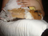 DSC03099.JPG
