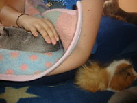 DSC03080.JPG