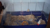 DSC02084.JPG