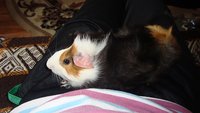 DSC02082.JPG