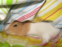 img4653jcpysiek.jpg