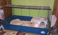IMAG0331.jpg