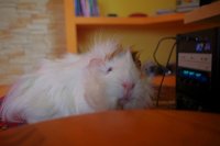 IMGP5329.JPG