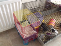 DSCF3541.JPG