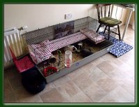 DSCF3631.JPG
