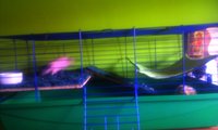 IMAG0280.jpg