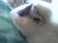 IMG20120627_001.jpg