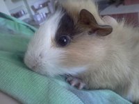IMG20120627_002.jpg