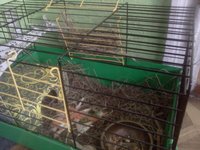 IMG20120627_003.jpg