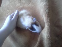 IMG20120627_004.jpg