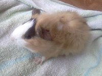 IMG20120627_007.jpg