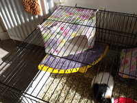 DSCF3851.JPG