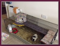 DSCF3862.JPG