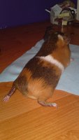 bbb20120701573.JPG
