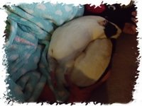DSCF2359_filtered.jpg