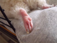 DSCF3279.JPG