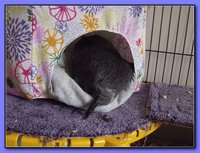 DSCF3904.JPG