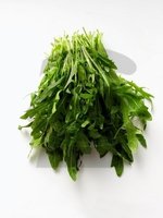 rukola.jpg