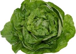 salatamaslowa.jpeg