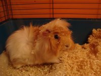DSC04370.JPG