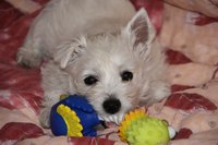 IMG_2447.JPG