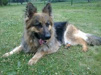 120720121113.jpg (27.87 KiB) Przejrzano 3367 razy 120720121113.jpg