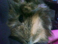 DSC00084.JPG