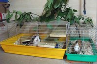 DSCF4627.jpg