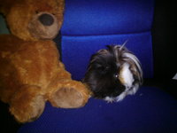 DSC00005.JPG