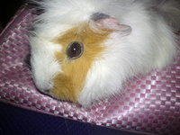 DSC00009.JPG