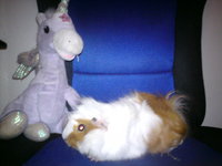 DSC00014.JPG