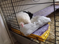 DSCF3278.JPG