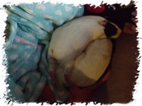DSCF2359.JPG