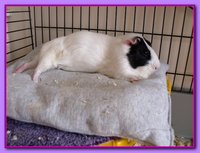 DSCF3518.JPG