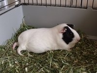 DSCF4325.JPG